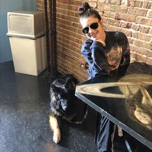 Stellar Beans Coffee House Cafe restaurant view 2