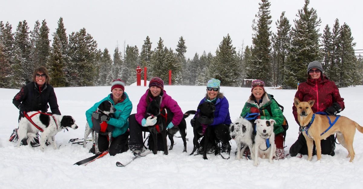 Snow Paws: Winter Sports with Fido