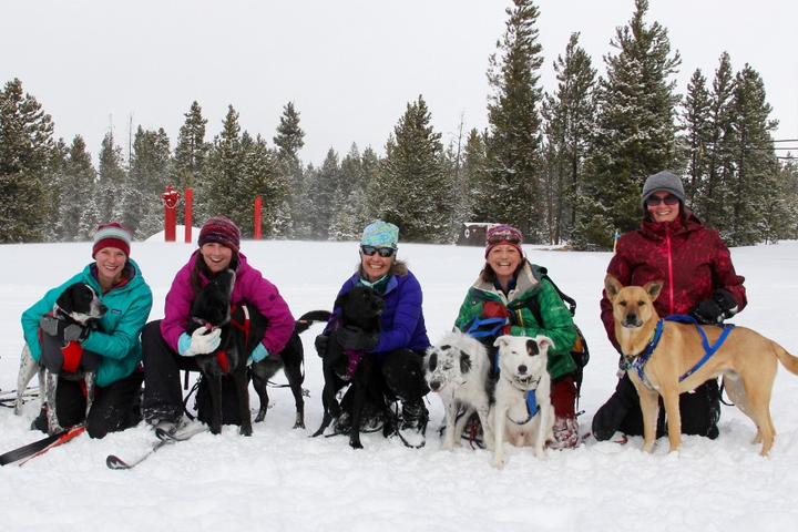 People skijoring with dogs at High Country Dogs.