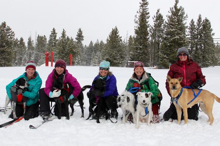 "We're adoring skijoring!"