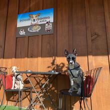 Hot Brew restaurant view 10