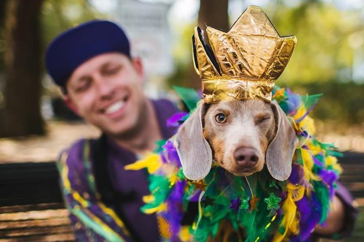 Mardi Paws 2021: How to Celebrate Safely in New Orleans