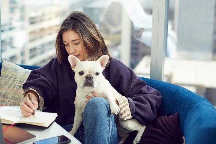 New Pet-Friendly Hotels: February 2021 New Pet-Friendly Hotels: February 2021