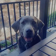 River View Restaurant & Lounge restaurant view 3