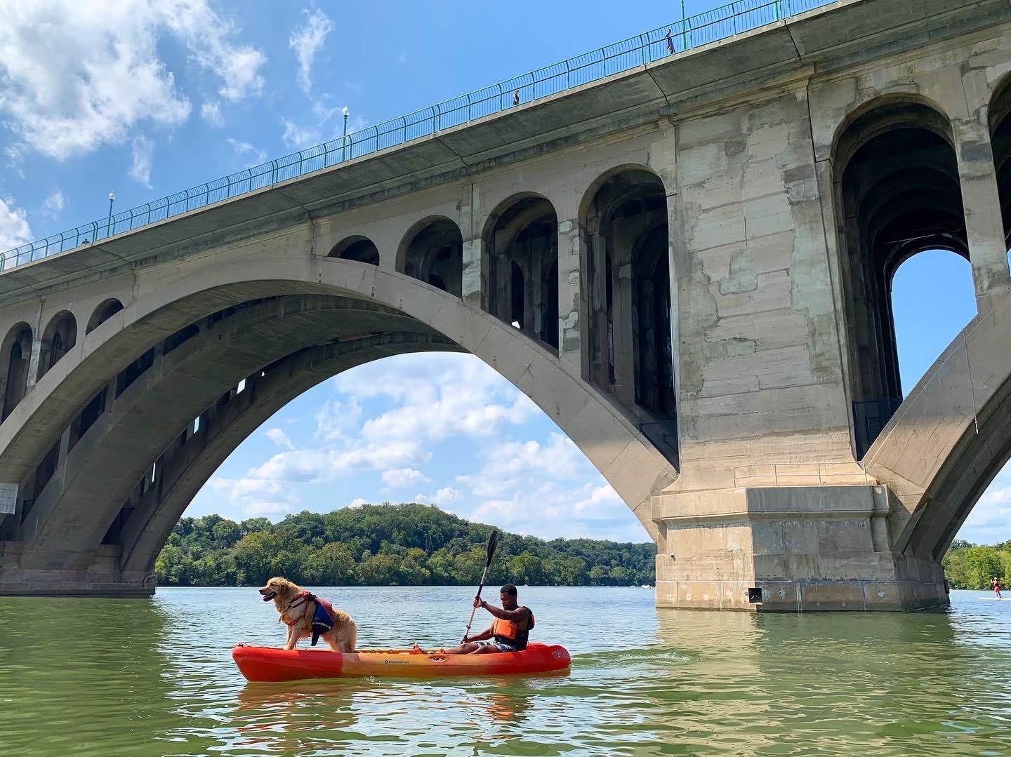 Pet Friendly Boating in DC