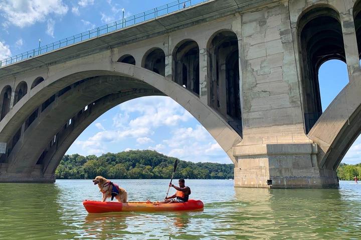 Pet Friendly Boating in DC