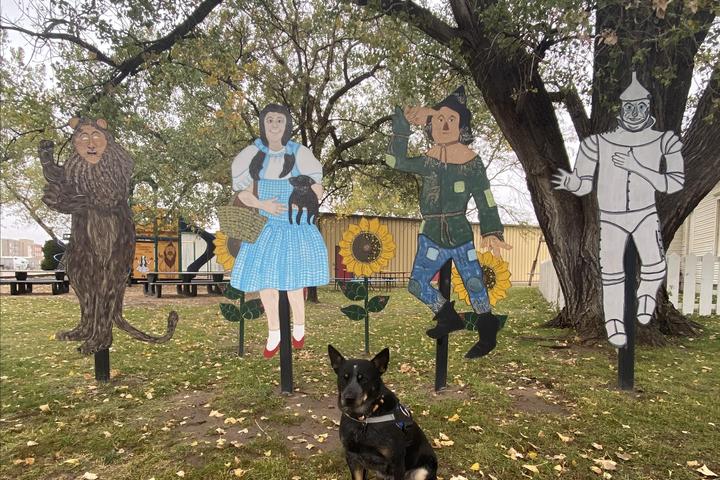 Pet Friendly Dorothy’s House & Land of Oz