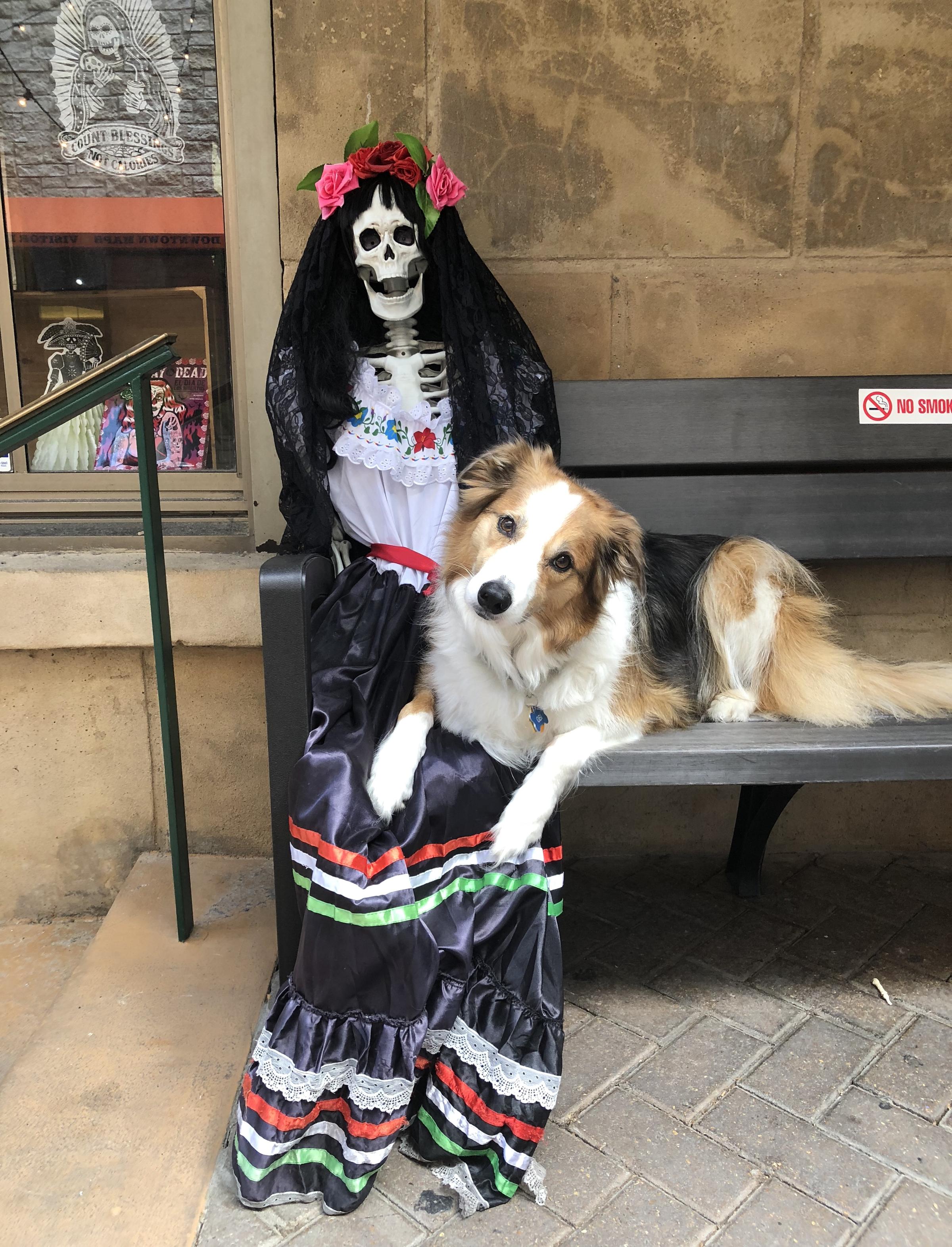 Pet Friendly Sisters Grimm Ghost Tours