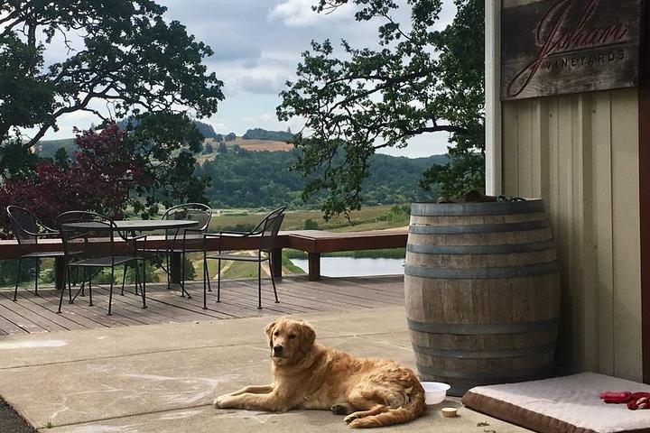 BringFido's Guide to the Willamette Valley