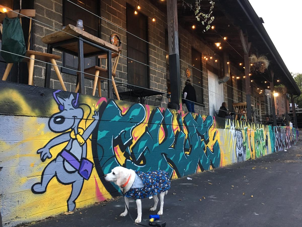 Spring House Brewing Company restaurant view 4