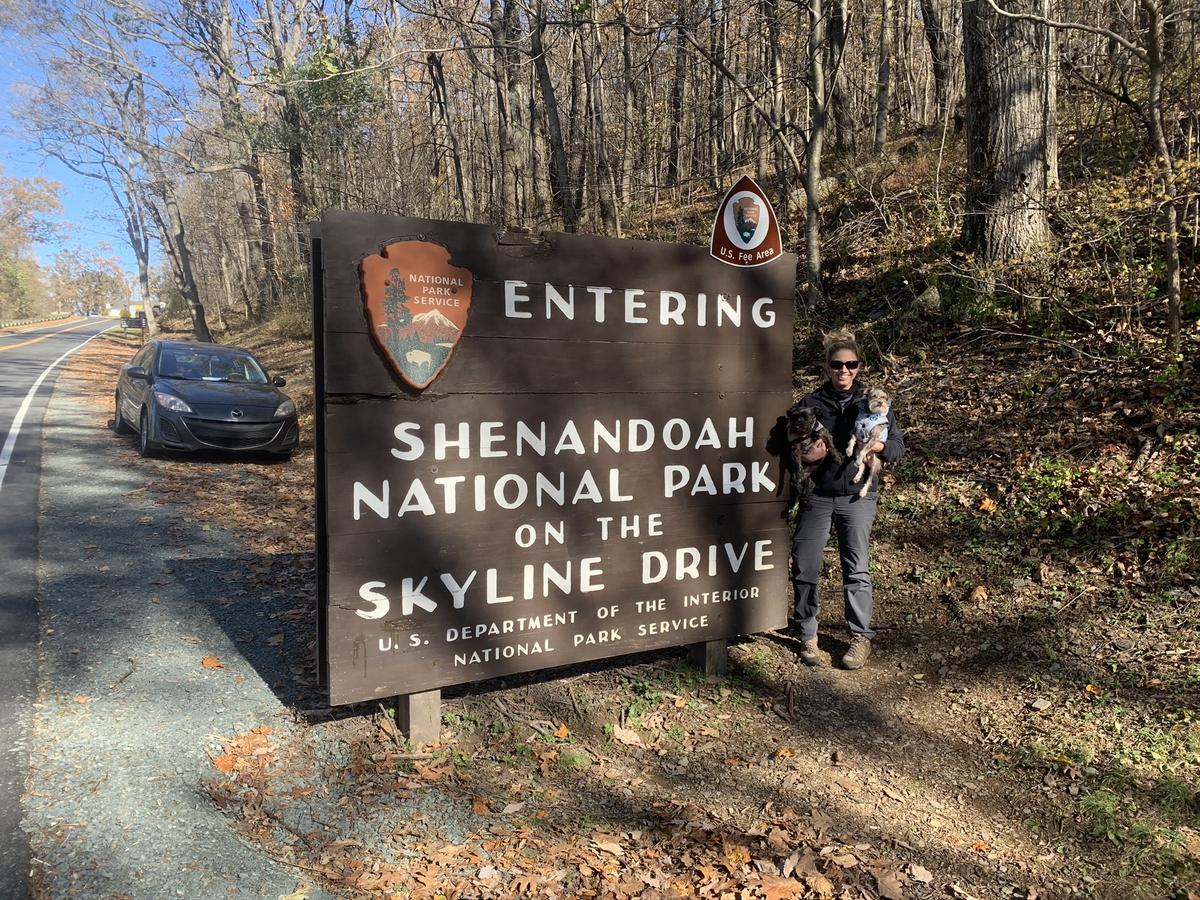are dogs allowed at shenandoah national park