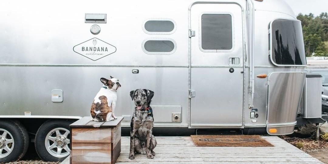 Airstream dog hot sale house