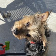 Fish City Grill restaurant view 1