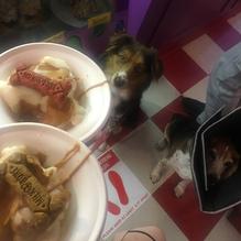 Emack and Bolio's restaurant view 1