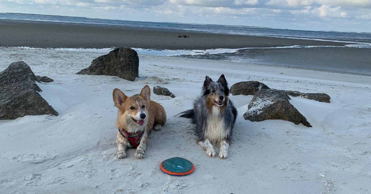 “This Frisbee isn’t going to throw itself.”