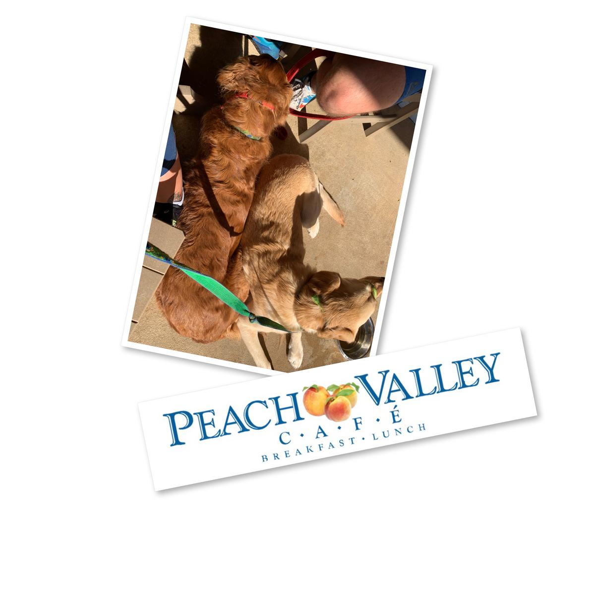 Peach Valley Cafe East restaurant view 1