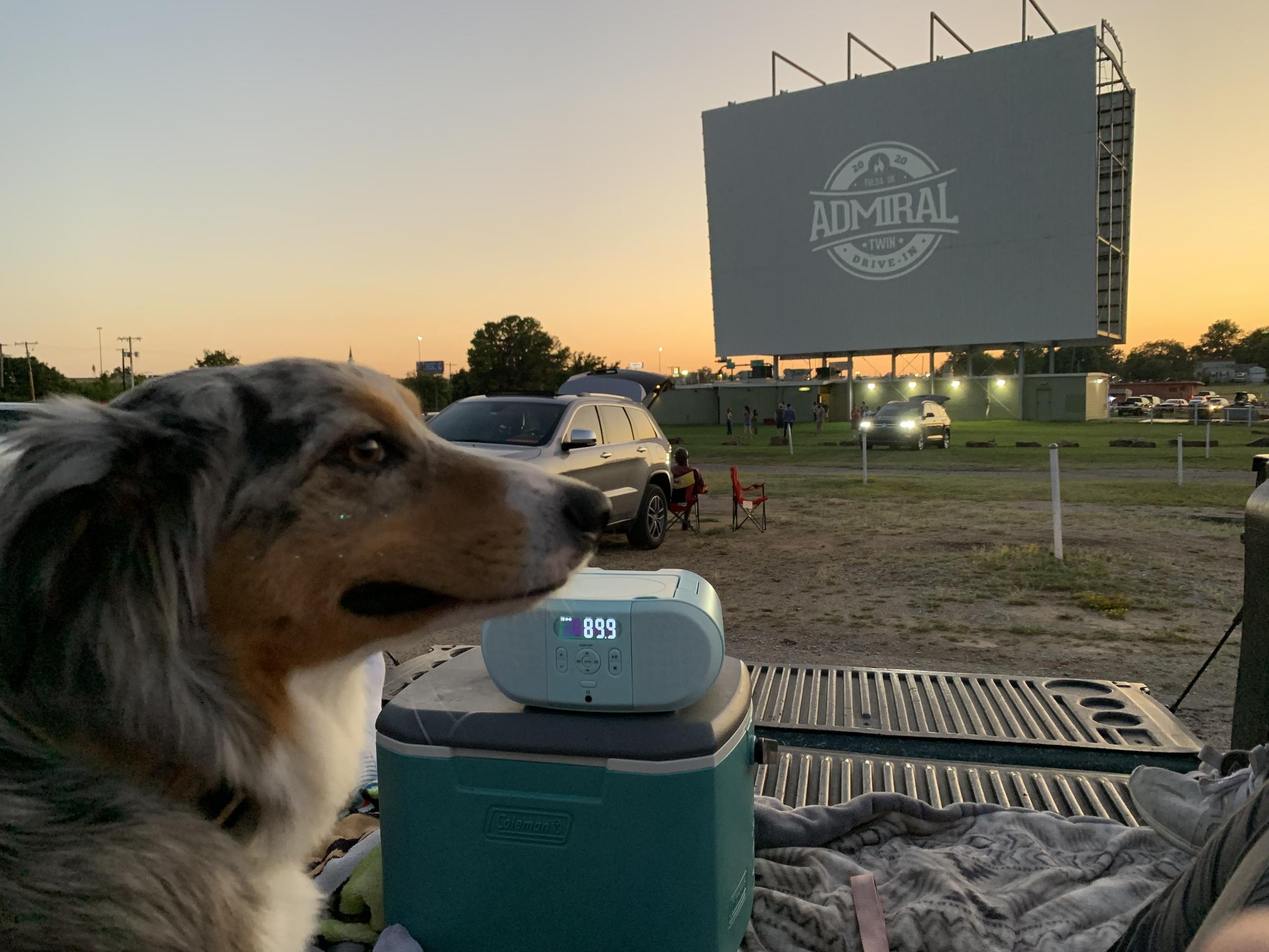 Pet Friendly Admiral Twin Drive-In
