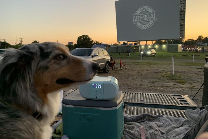 Pet Friendly Admiral Twin Drive-In