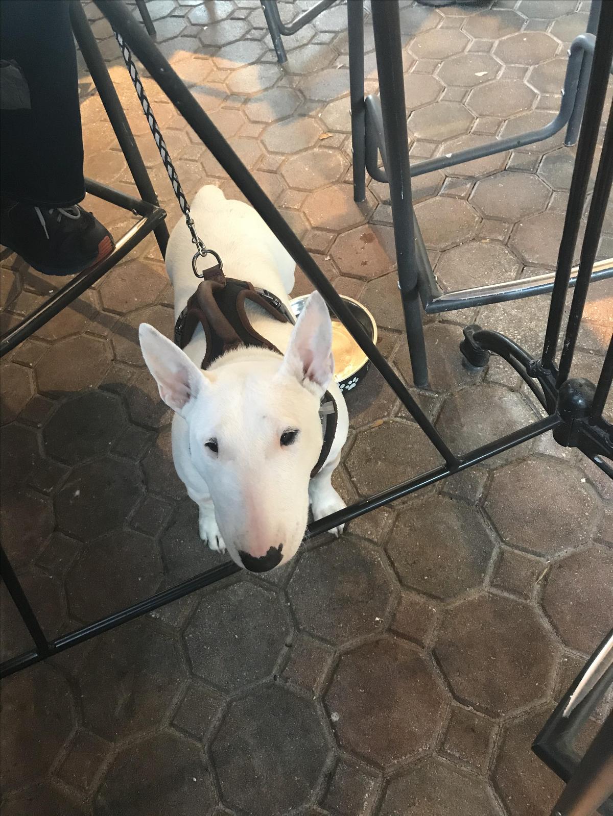 Another Broken Egg Cafe restaurant view 1