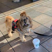 Starbucks restaurant view 1