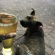 Square One Brewery & Distillery restaurant view 6