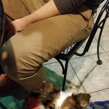 Ollie Gators restaurant view 1