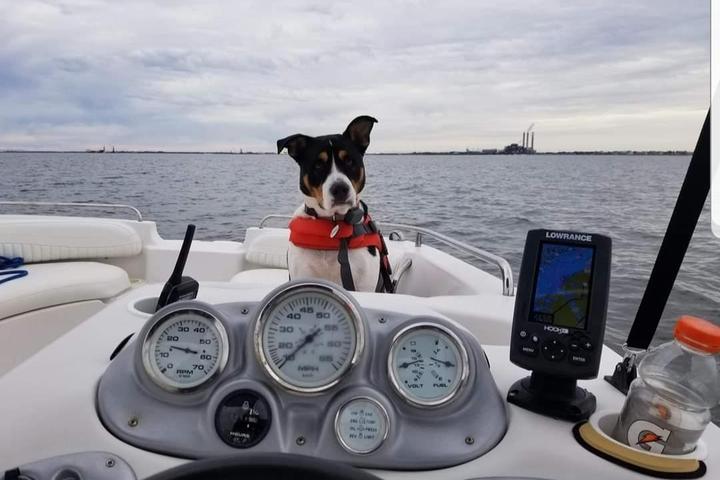 Pet Friendly Tampa Bay Captain Services