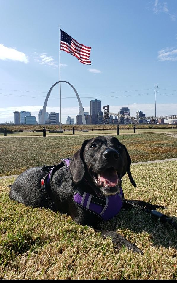 se admiten perros en el parque conmemorativo malcolm w martin
