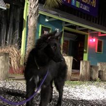 The Blind Tiger restaurant view 2