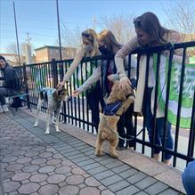 Trolley Tap House restaurant view 3