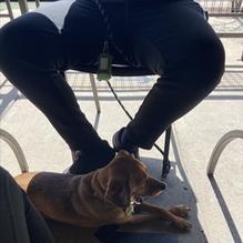 Bazbeaux Pizza restaurant view 1