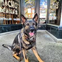 Nacho Mama's Augusta restaurant view 2