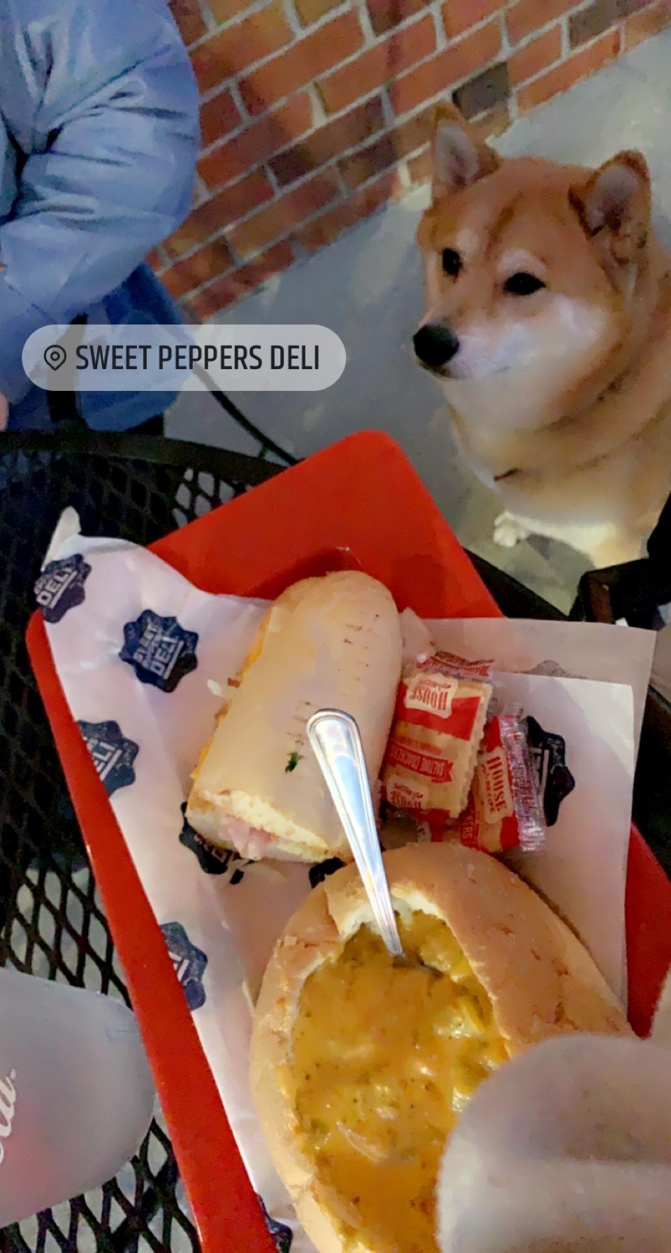Sweet Peppers Deli restaurant view 1