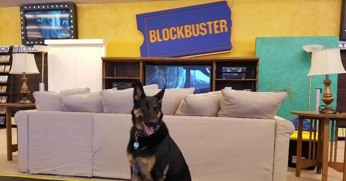The Last Blockbuster and 6 Other Retro Dog-Friendly Attractions