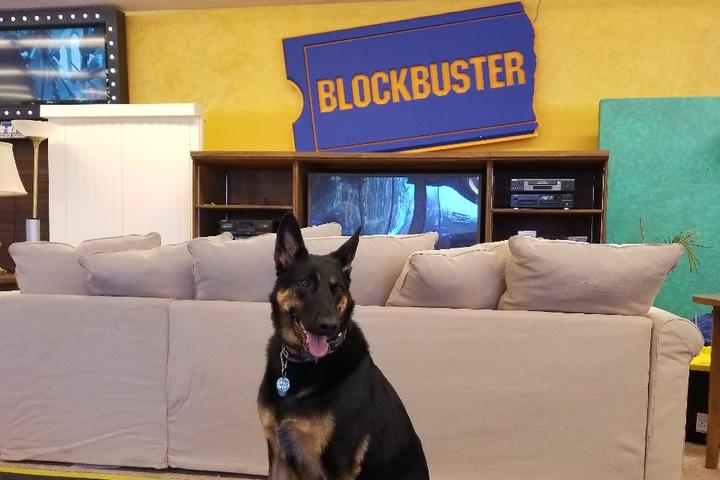 The Last Blockbuster and 6 Other Retro Dog-Friendly Attractions