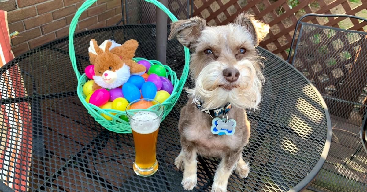 The “Hoppiest” Places to Bring Fido this Easter Weekend