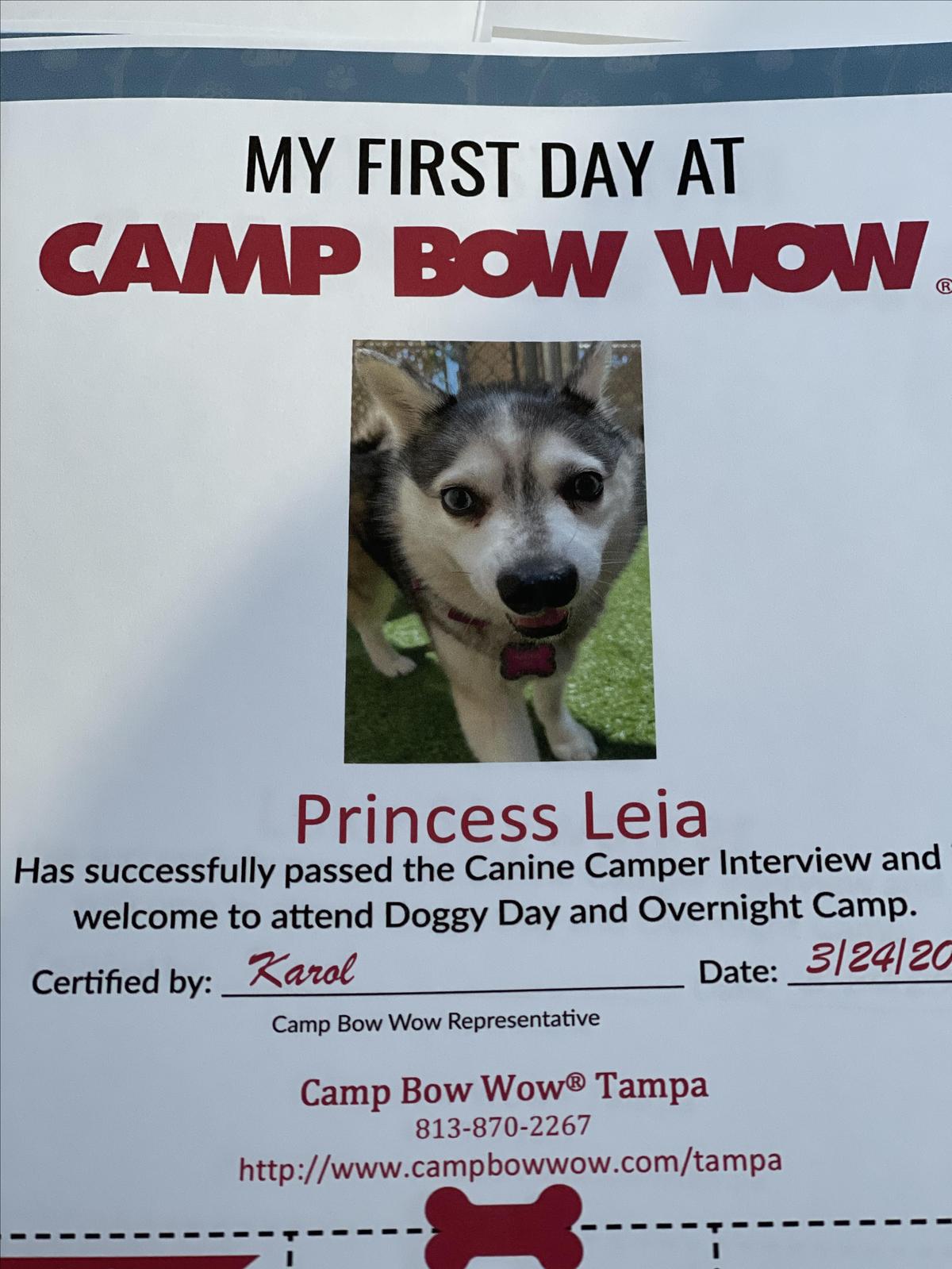Camp bow wow overnight rates shop