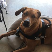 Stone Mill BBQ and Steakhouse restaurant view 5