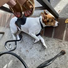 Eden Bar restaurant view 2