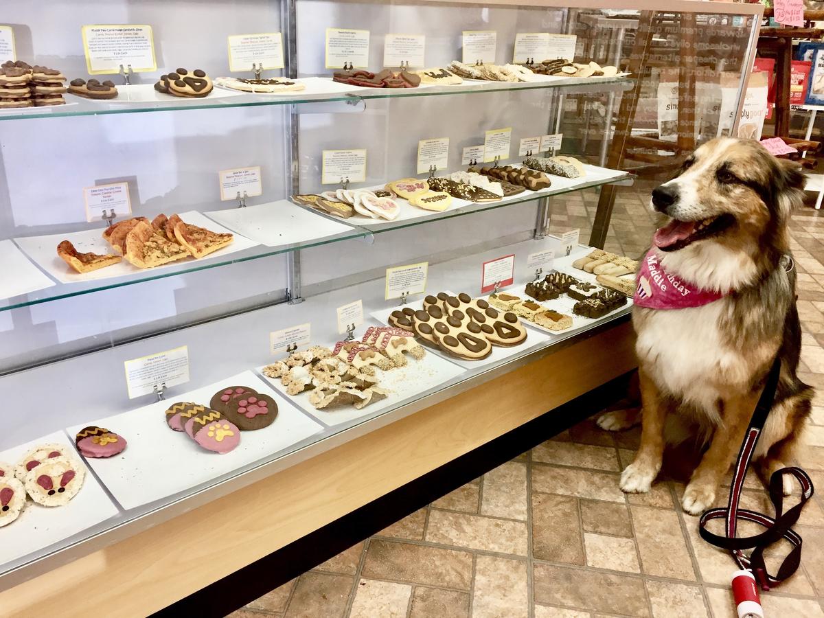 Jackboy s Dog Bakery