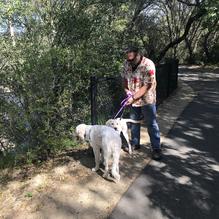 Dos Coyotes Border Cafe restaurant view 1