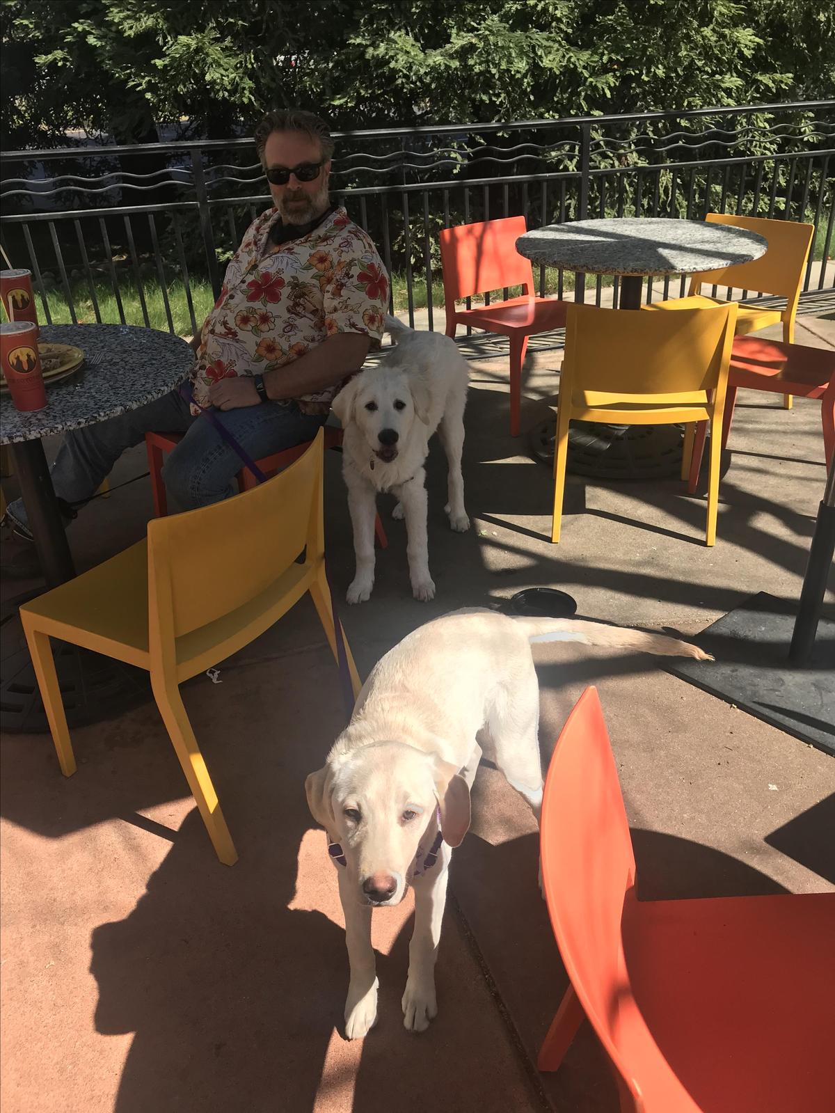 Dos Coyotes Border Cafe restaurant view 4