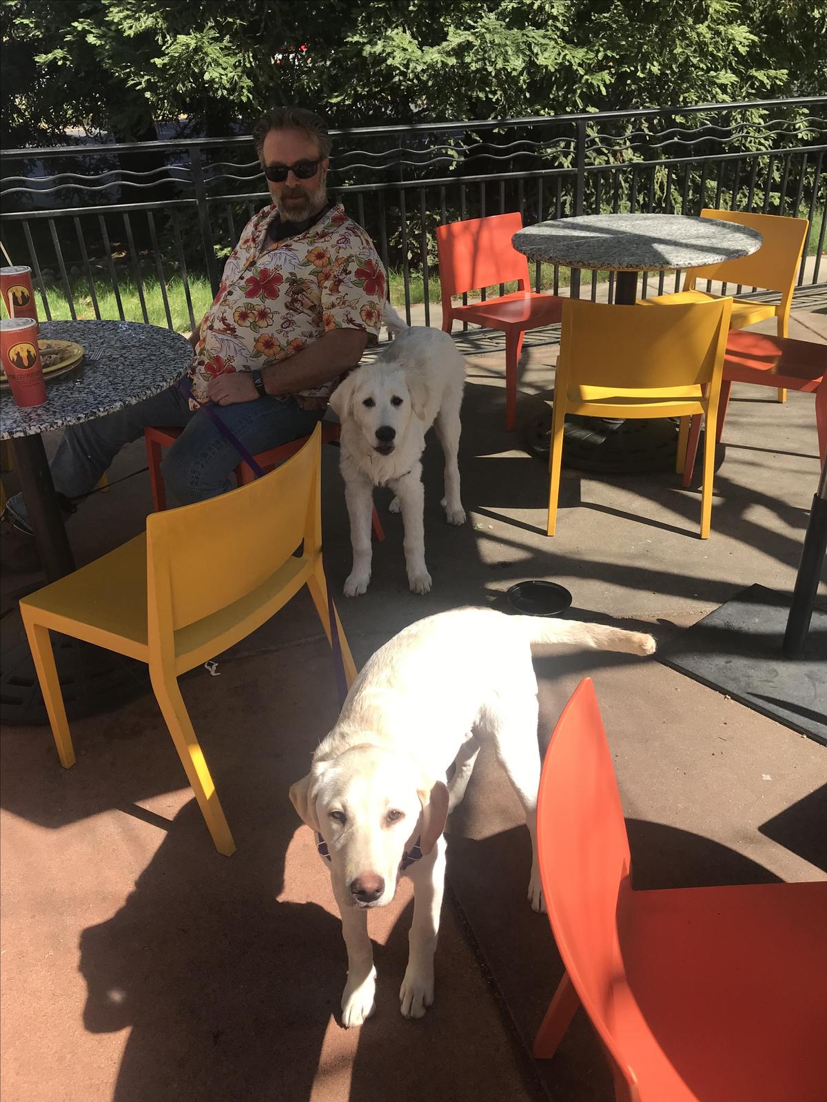Dos Coyotes Border Cafe restaurant view 2