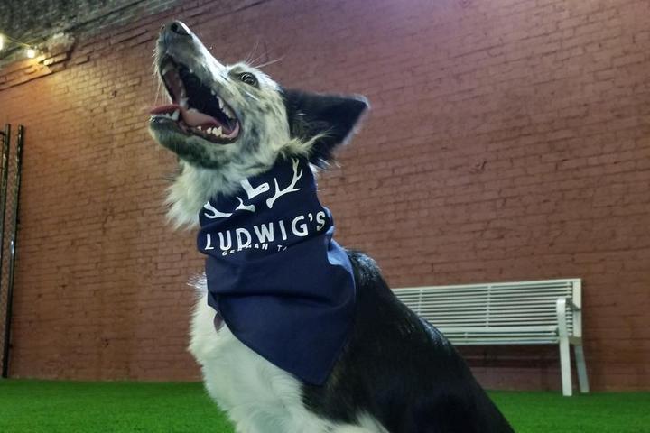 New Dog Parks and Pet-Friendly Attractions: April 2021 New Dog Parks and Pet-Friendly Attractions: April 2021