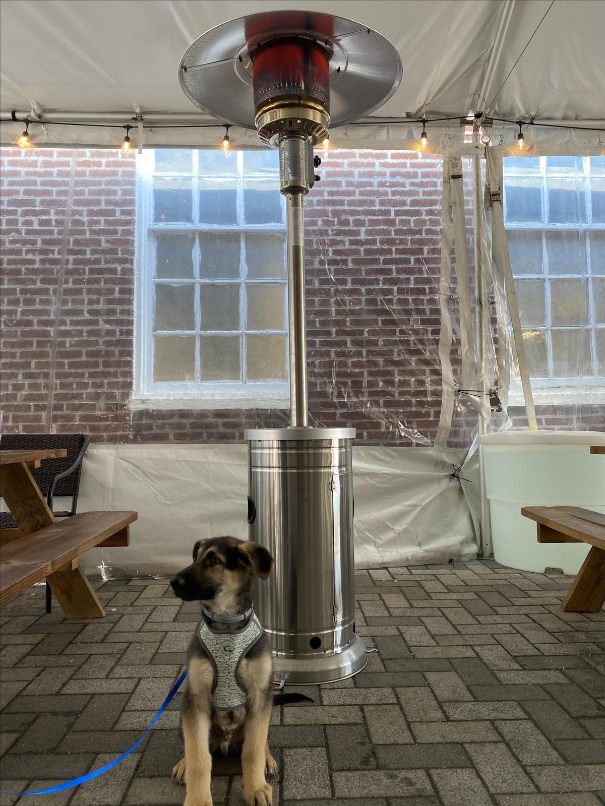 Mason Dixon Distillery restaurant view 1
