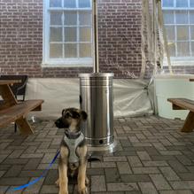 Mason Dixon Distillery restaurant view 1