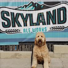 Skyland Ale Works restaurant view 1