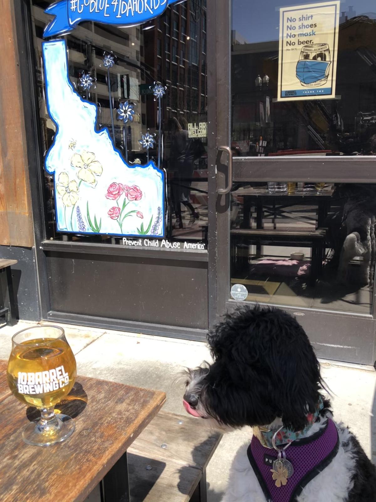 10 Barrel Brewing restaurant view 1