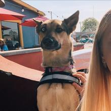 Daddy Joe's Beach House BBQ restaurant view 5