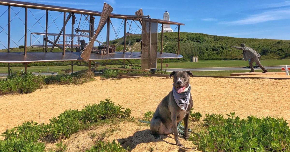 BringFido's Guide to The Outer Banks